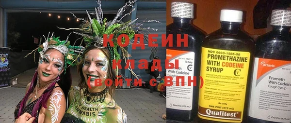 мдпв Алапаевск