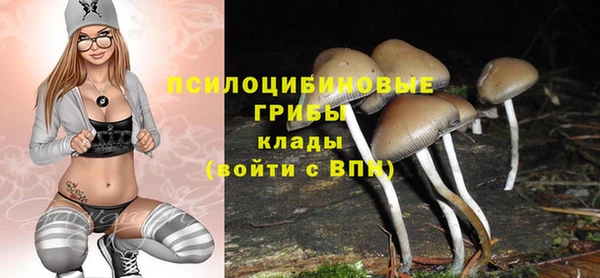 мдпв Алапаевск